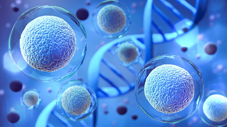 Best Countries and Clinics for Bone Marrow Transplant related image