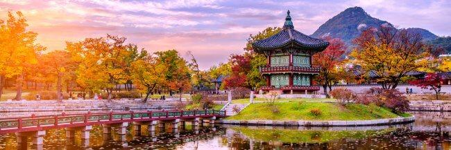 Best Countries in the World for Liver Transplant related image