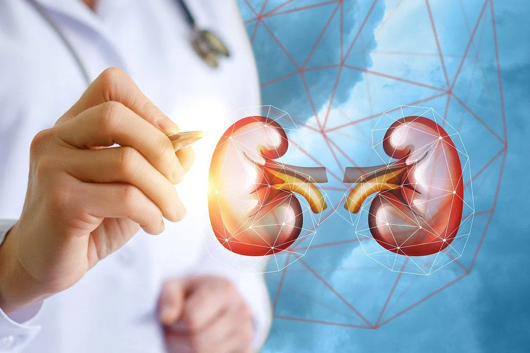 Kidney Transplant in Turkey 2025 - Best Clinics & Surgeons related image