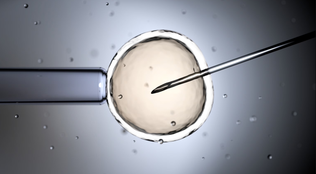IVF in Turkey: High Success, Low Cost, No Waiting related image