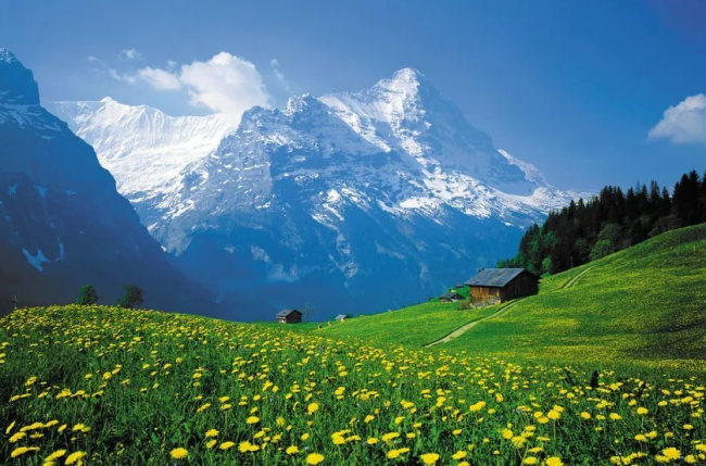 Best Countries in the World for Bipolar Disorder Treatment related image