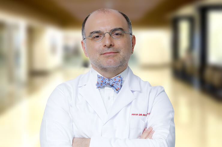 Bone Marrow Transplantation in Turkey - Costs & Best Clinics related image