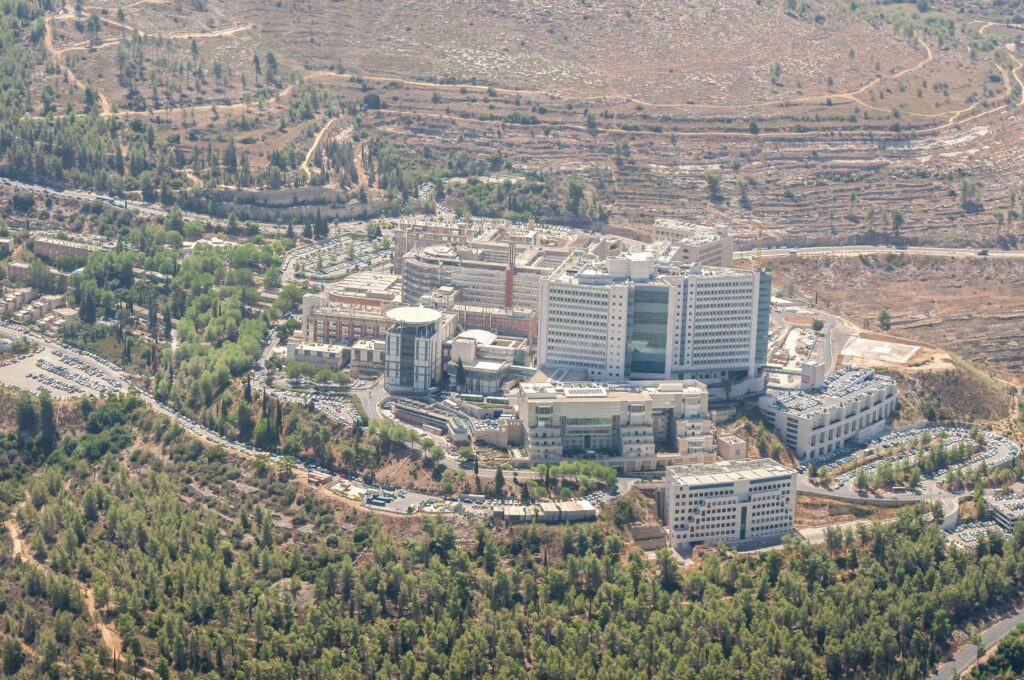 Best Countries and Clinics for Bone Marrow Transplant related image