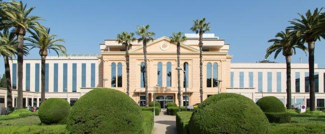 Best Clinics for Osteoarthritis Treatment related image