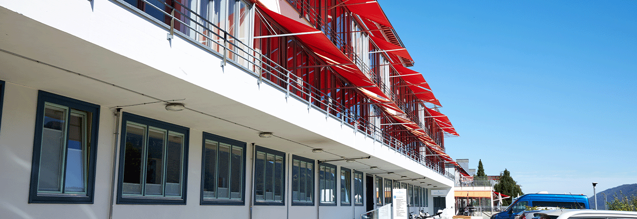 Pregnancy and Maternity Care in Switzerland related image