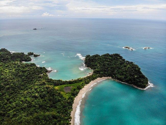 Green trees beside blue sea photo
