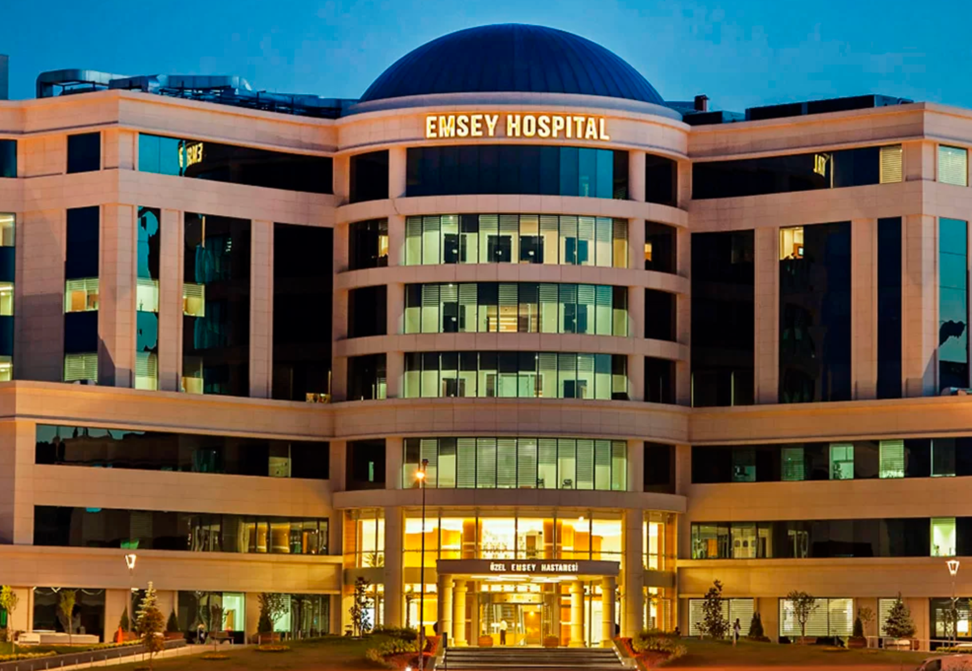 Best Hospitals Offering Stem Cell Treatment for Disc Injuries related image