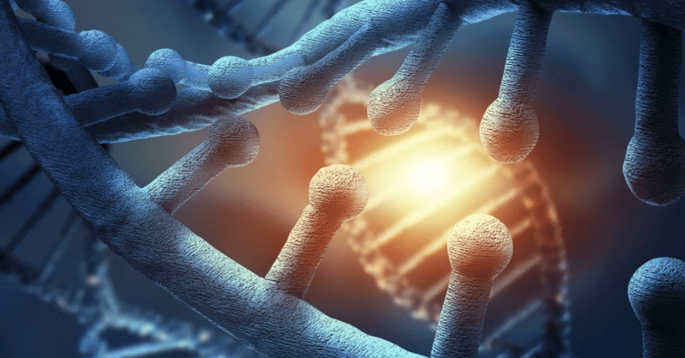 Stem Cell Therapy in Turkey: Costs, Clinics and Benefits related image