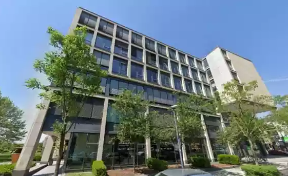 Stem Cell Therapy for Multiple Sclerosis Abroad related image