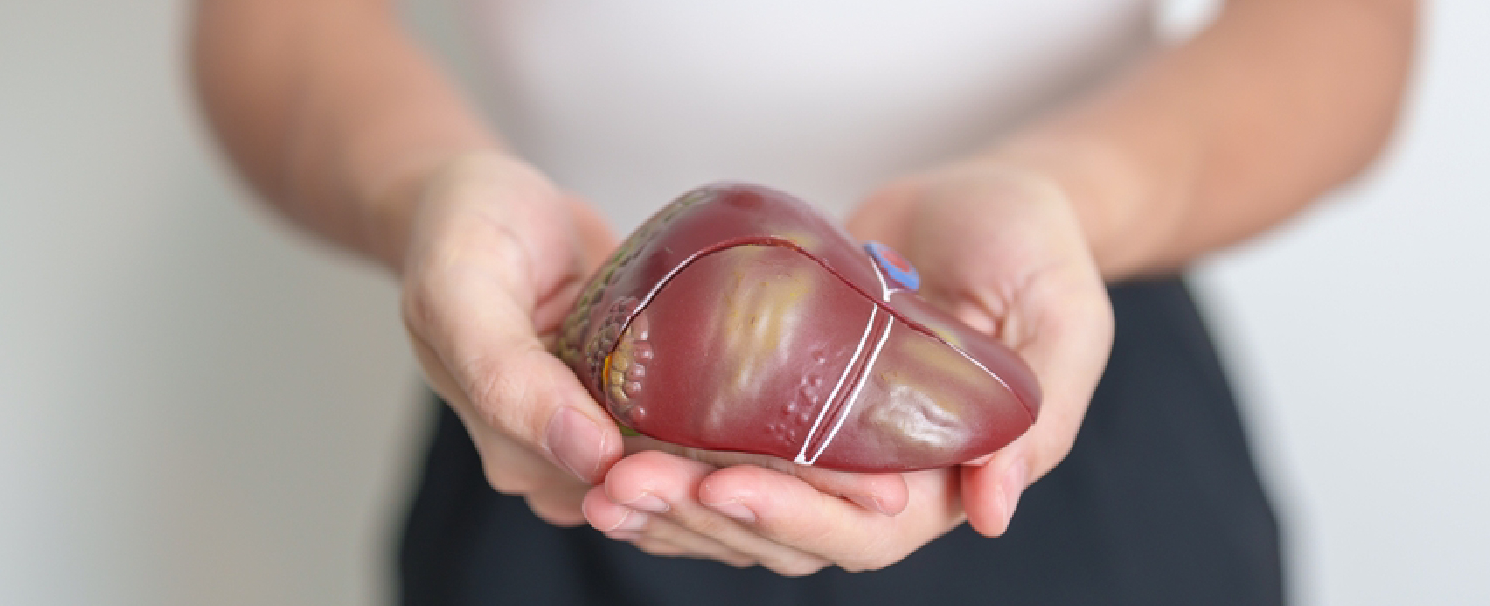 Liver Transplant in Turkey - Clinics, Costs, Surgeons (2026) related image