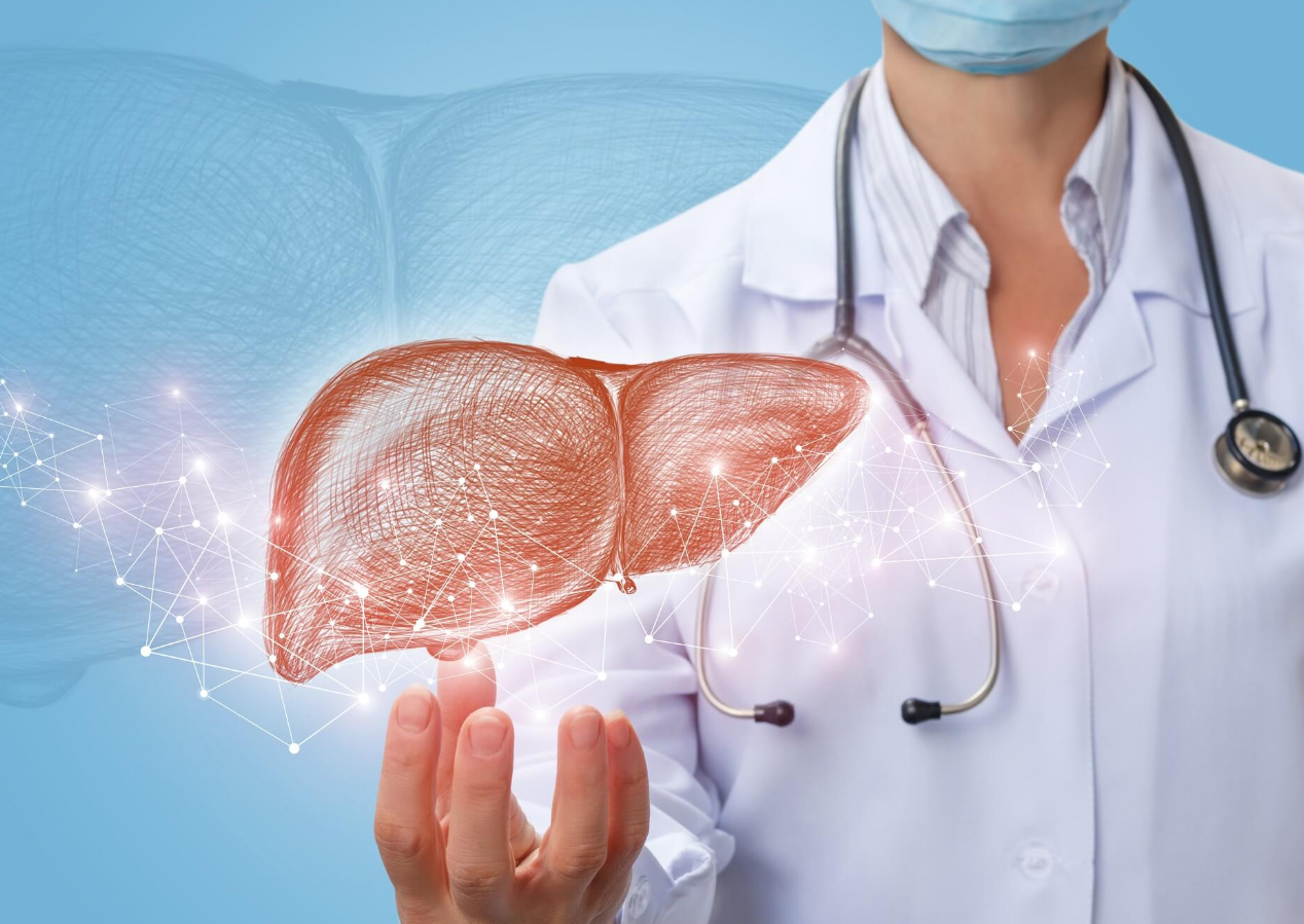 Liver Transplant in Turkey - Clinics, Costs, Surgeons (2026) related image