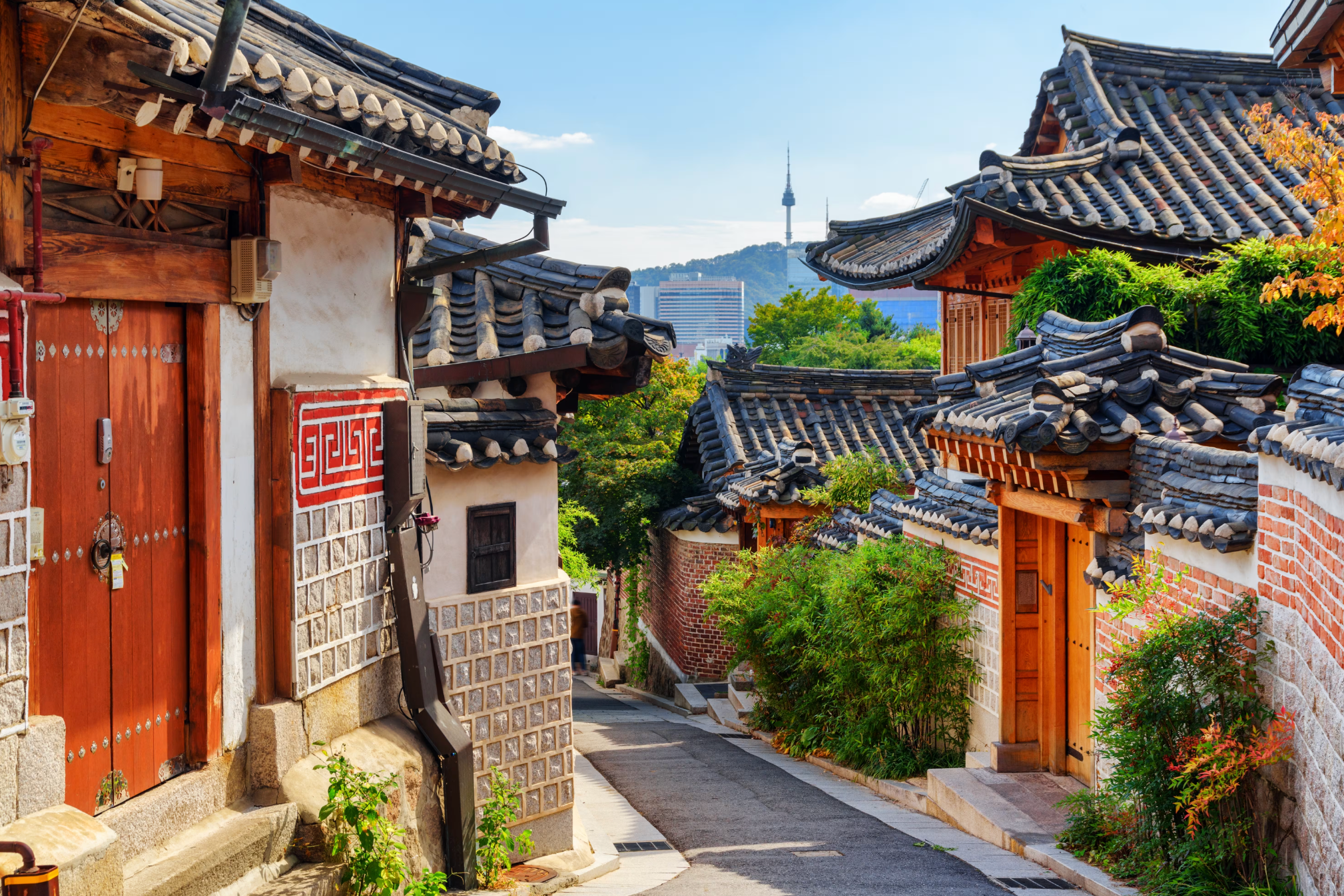 Best Countries for Knee Replacement Surgery Abroad related image