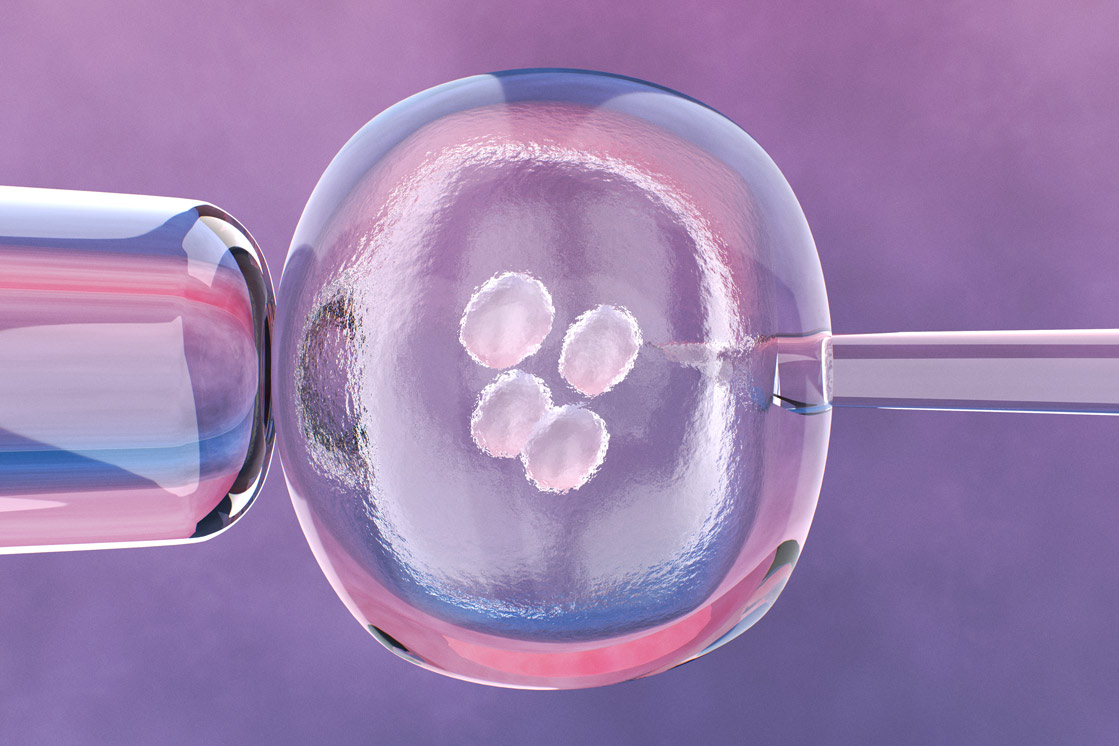 IVF in Turkey 2026: Best All-Inclusive Packages and Costs related image