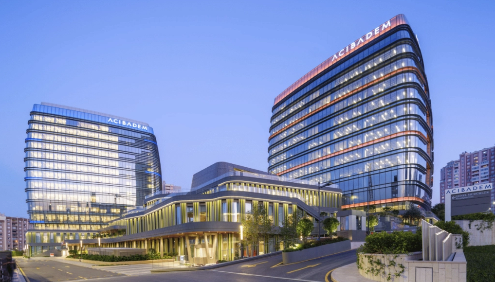 Bone Marrow Transplant in Turkey related image