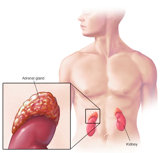 Астанада телефон номерлерімен секс танысу Жалаңаш қант